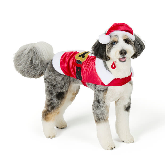 Dog Santa outfit