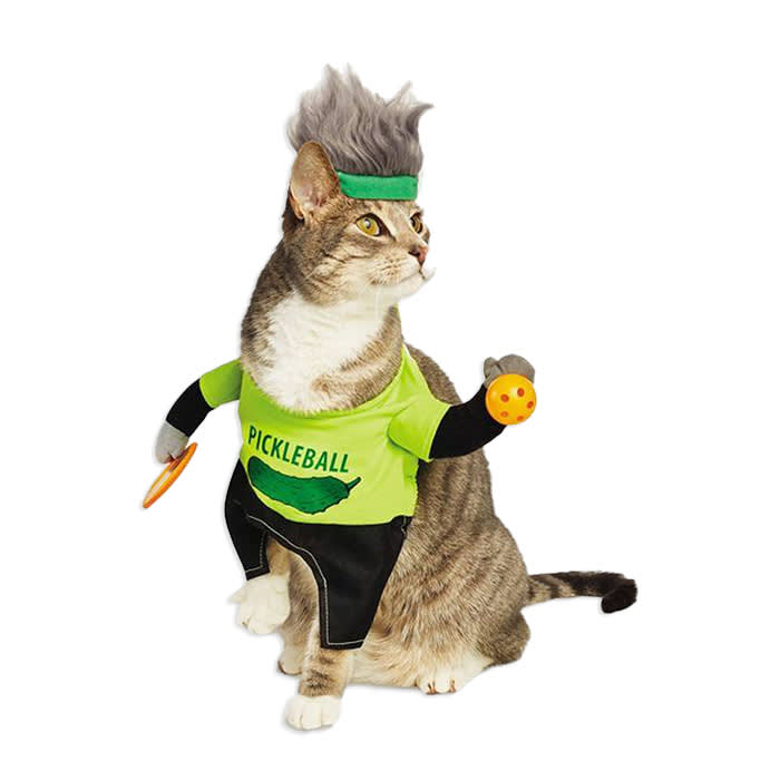 a cat in a pickleball uniform