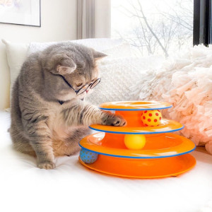 Cat playing with orange puzzle toy