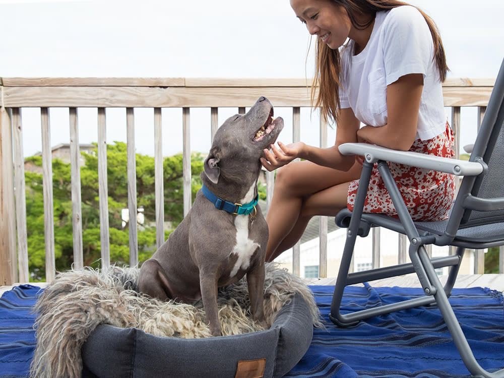 Woman scratching chin of grey pit bull sitting in dog bed on deck