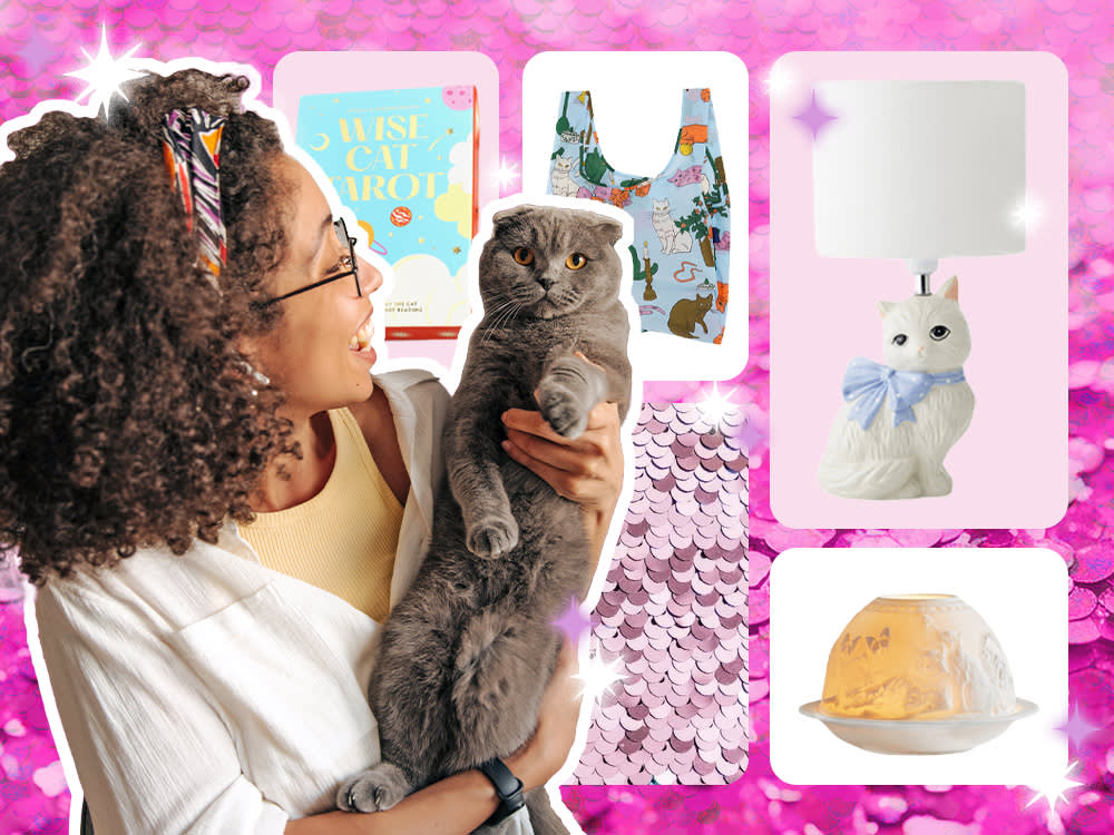 Woman holding up her gray cat.