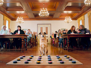 Kodi, Canine Star of ‘Dog on Trial,’ Wins Cannes Palm Dog.