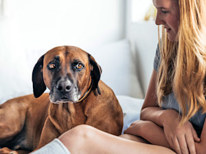 Woman looking at her nervous dog at home.