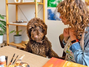 Woman and dog hanging out in an art studio.