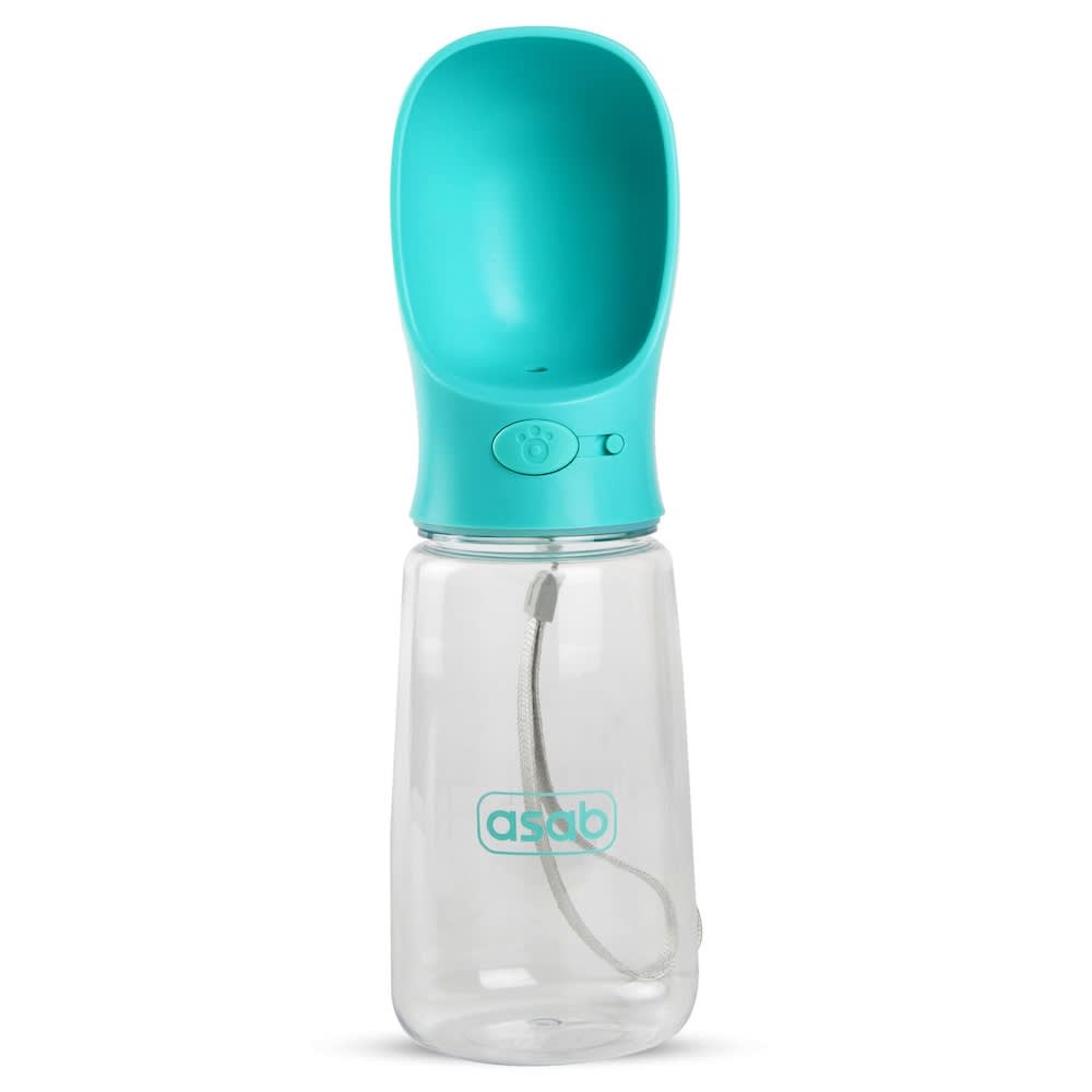 picture of a teal dog water bottle