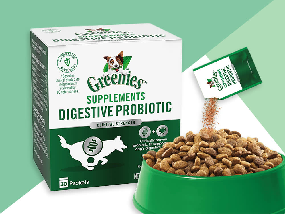 Greenies Digestive Probiotic Supplement Powder for Dogs,