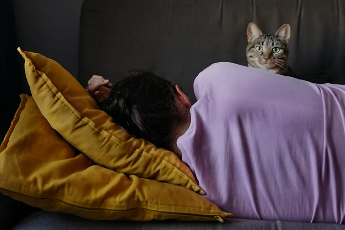 Cat with a person who is asleep