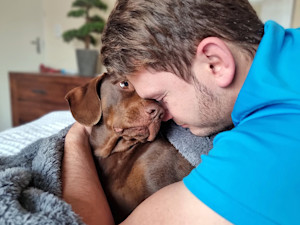 Dog looking into man's eyes at home.