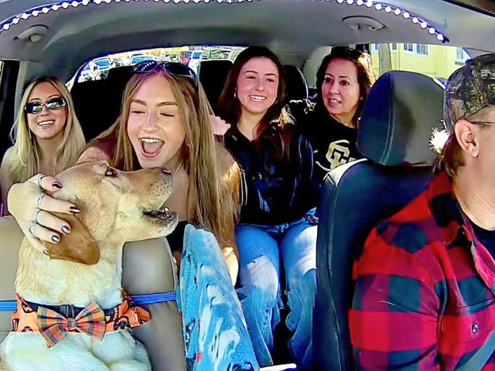A Colorado Uber driver decided to bring his dog to work with him and film passengers' reactions. Now, his posts featuring his pet, Bowie the Uber dog, are going viral.
