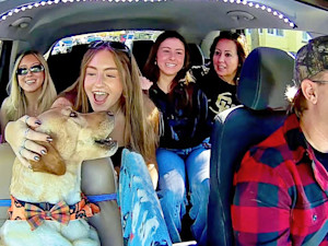 A Colorado Uber driver decided to bring his dog to work with him and film passengers' reactions. Now, his posts featuring his pet, Bowie the Uber dog, are going viral.