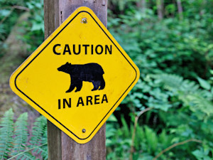 Bear warning sign on hiking trail outside.
