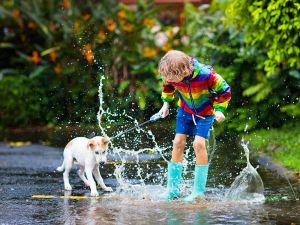 Child playing with white dog in a puddle