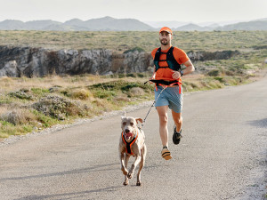 A man running with a dog on a road, dryland mushing. 