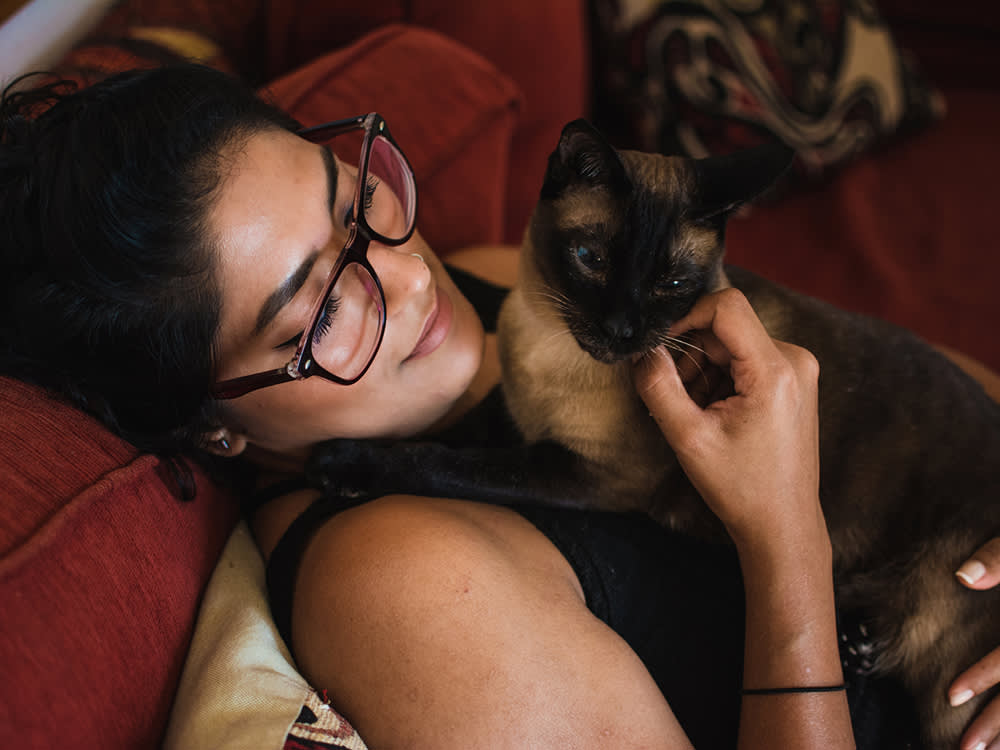 a person with glasses cuddles with a brown cat