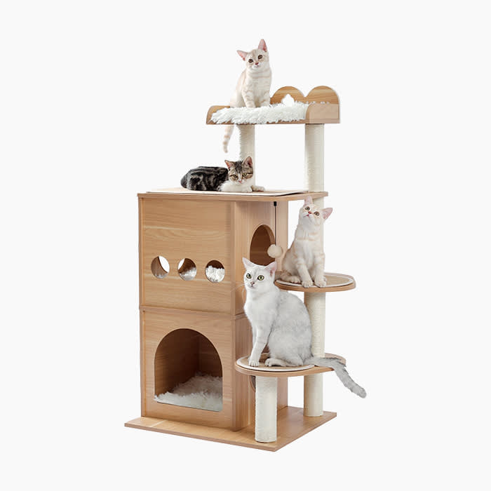 cats sitting atop a modern wood cat tower