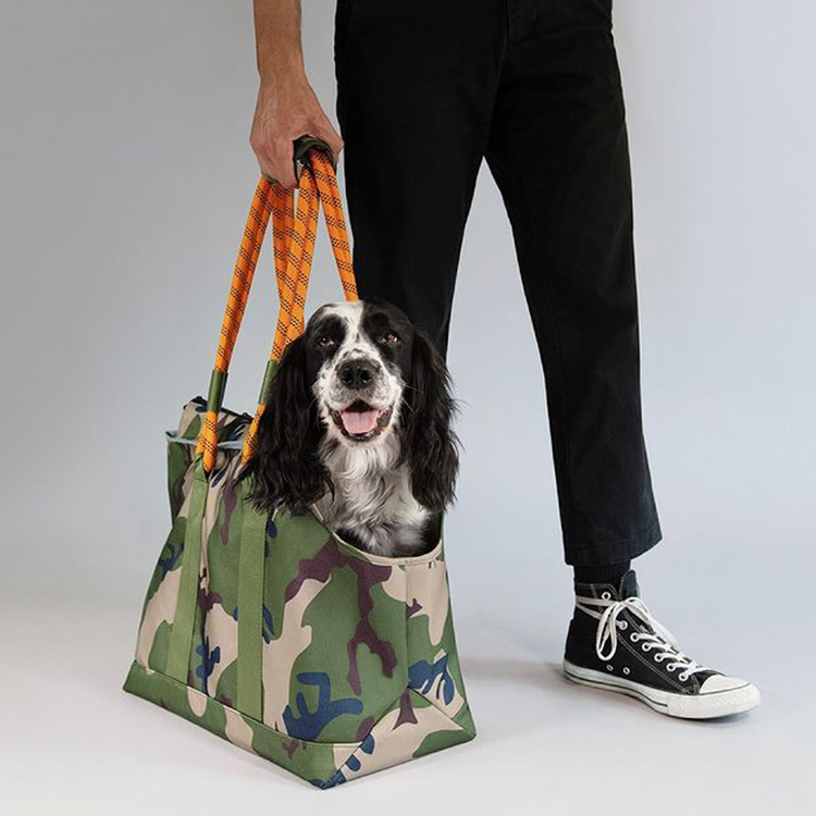 a dog in a camo carrier 