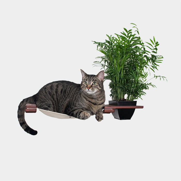 Planter Lounger