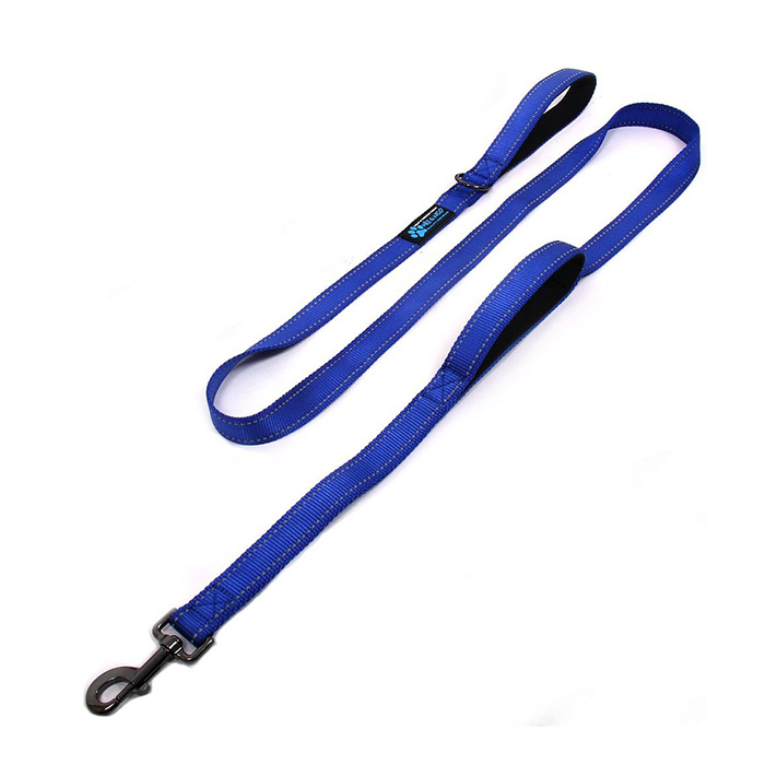 Max and Neo leash nylon reflective leash for puppies in blue