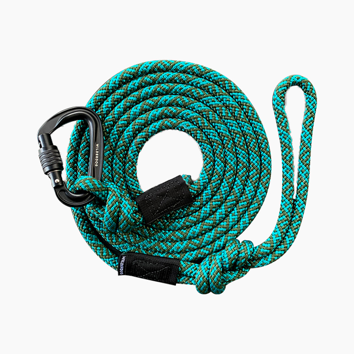 turquoise dog leash