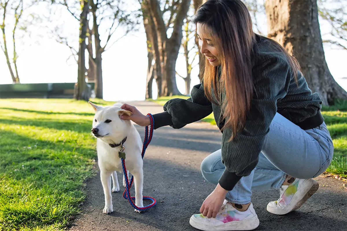 Person crouching to pet dog