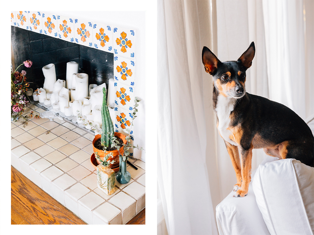 Amrit Tietz’s black-and-brown dog, Soy, poses on a chair near her fireplace