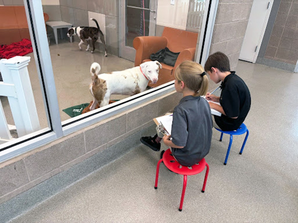 two kids sketch  drawings of dogs at a shelter in Las Vegas