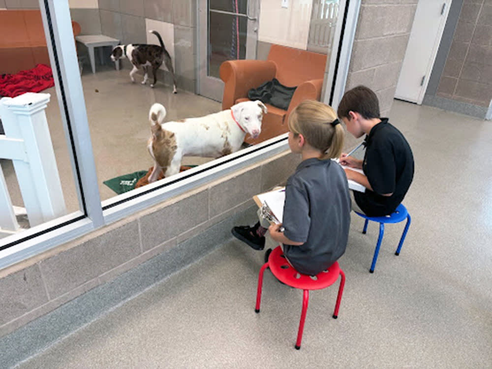 two kids sketch  drawings of dogs at a shelter in Las Vegas