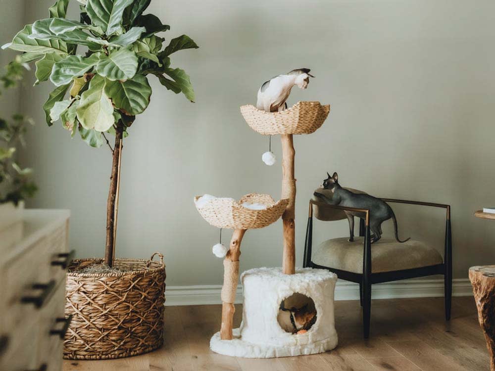 mau cat tree