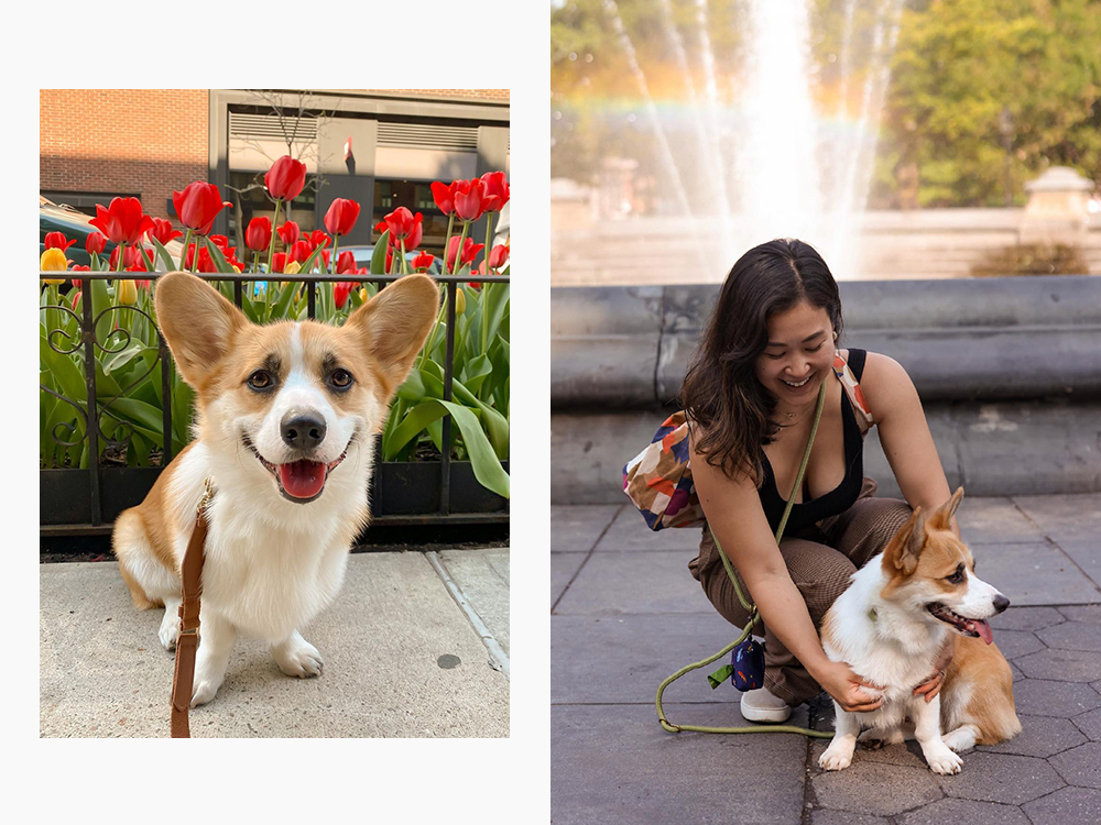 Minna Lee and her corgi