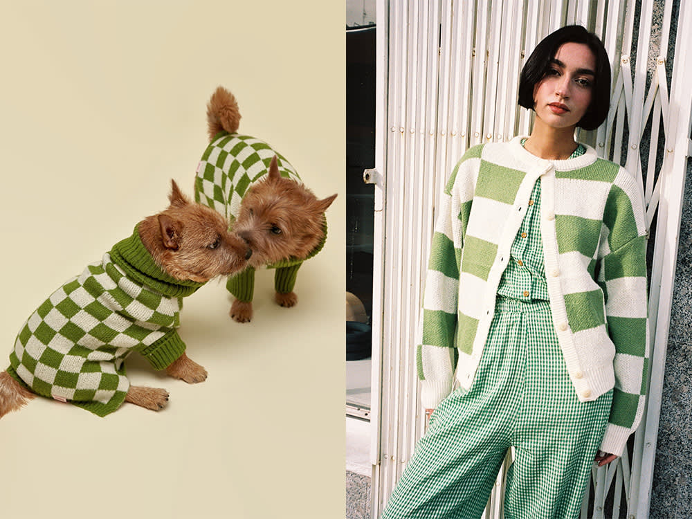 checkered green and white sweaters for dogs and humans