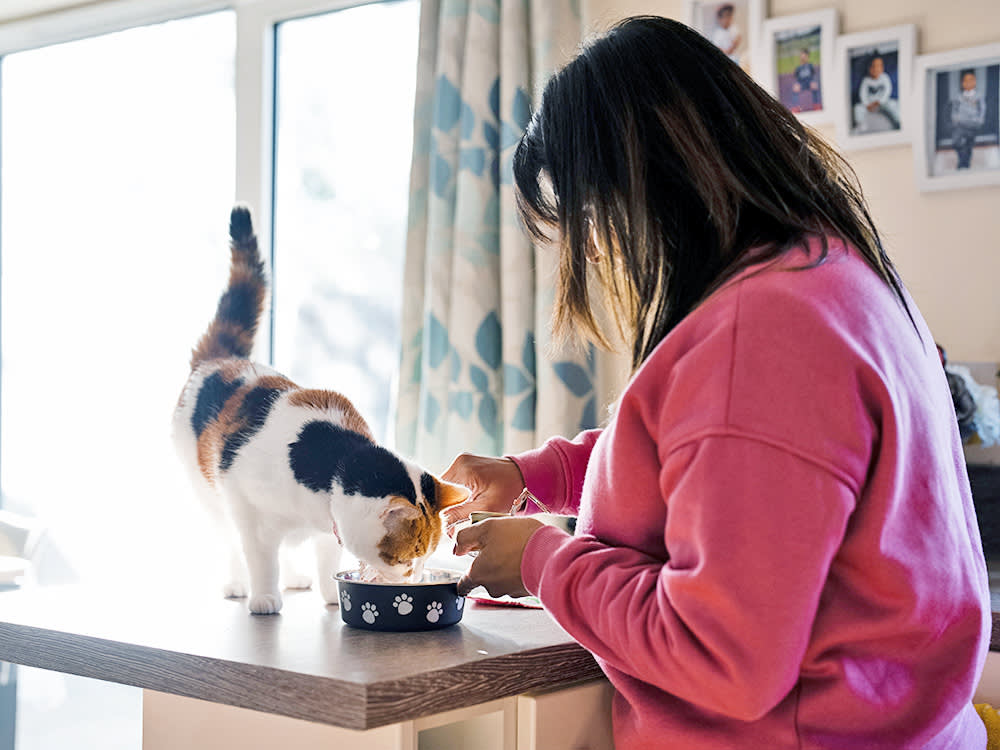 Woman feeding her cat in the kitchen at home.