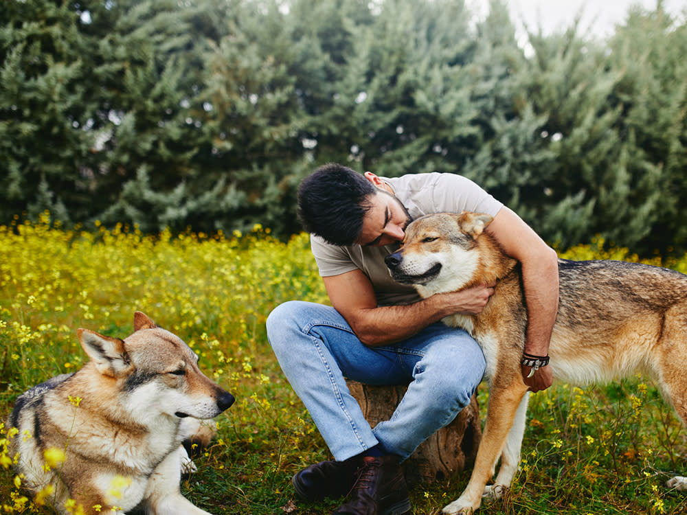 Man hugging one of his wolfdogs outside while the other lays in the grass