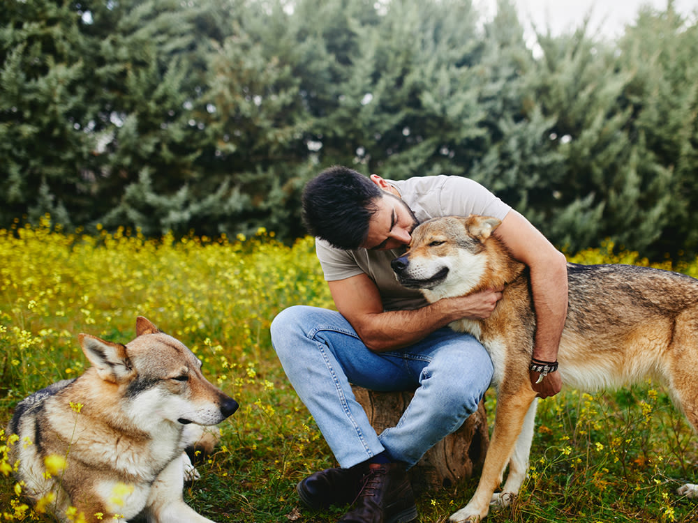 Man hugging one of his wolfdogs outside while the other lays in the grass
