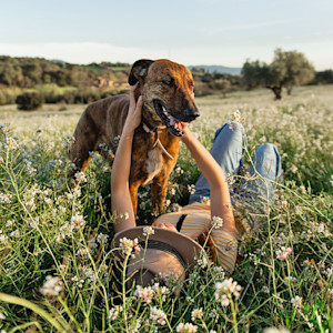 Woman playing with dog in a field.