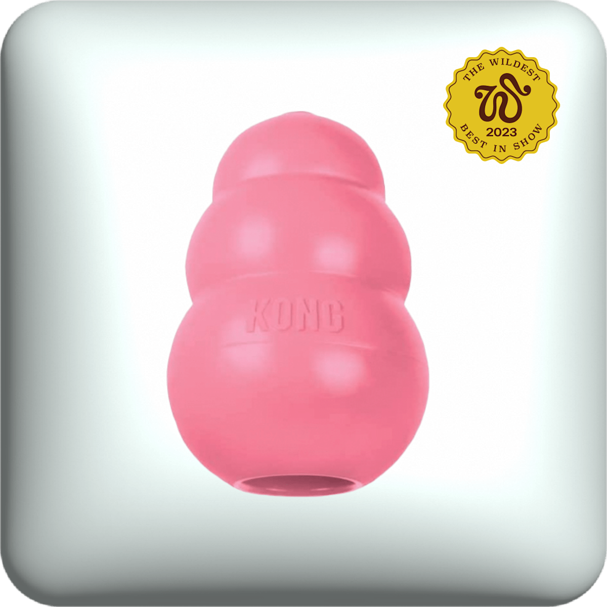 kong puppy