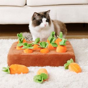 cat with interactive carrot puzzle toy