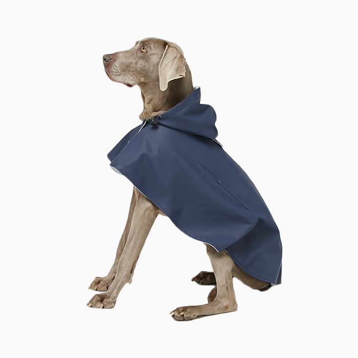 Painter's Wife William Waterproof Dog Cape