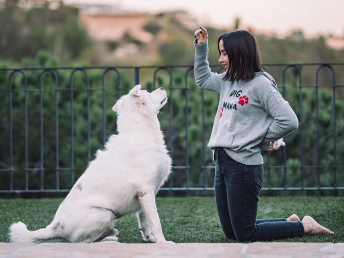 Victoria Lily Shaffer and a large white dog