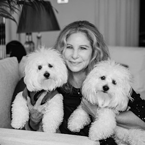 Barbra Streisand with her two cloned dogs