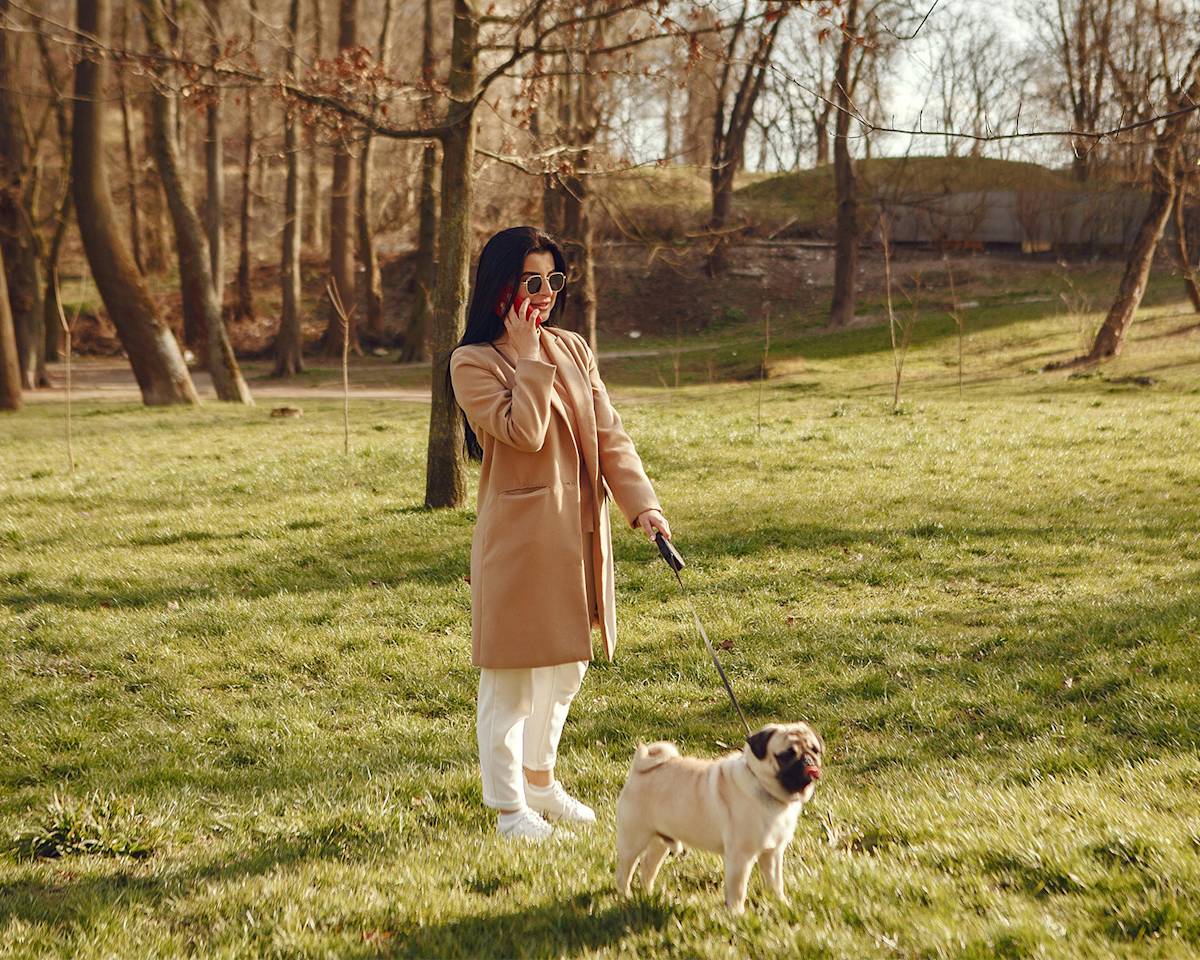 Photo of Woman Using Cellphone and Dog Standing on Grass Field