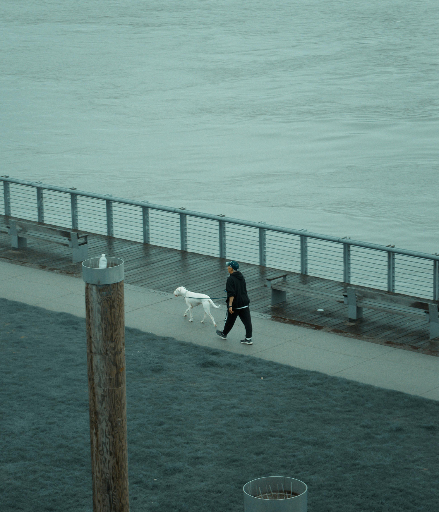 Person Walking The Dog on Gray Paved Pathway Near Sea
