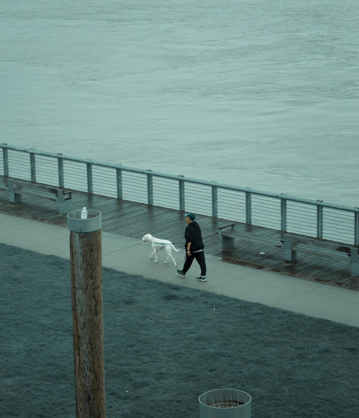 Person Walking The Dog on Gray Paved Pathway Near Sea
