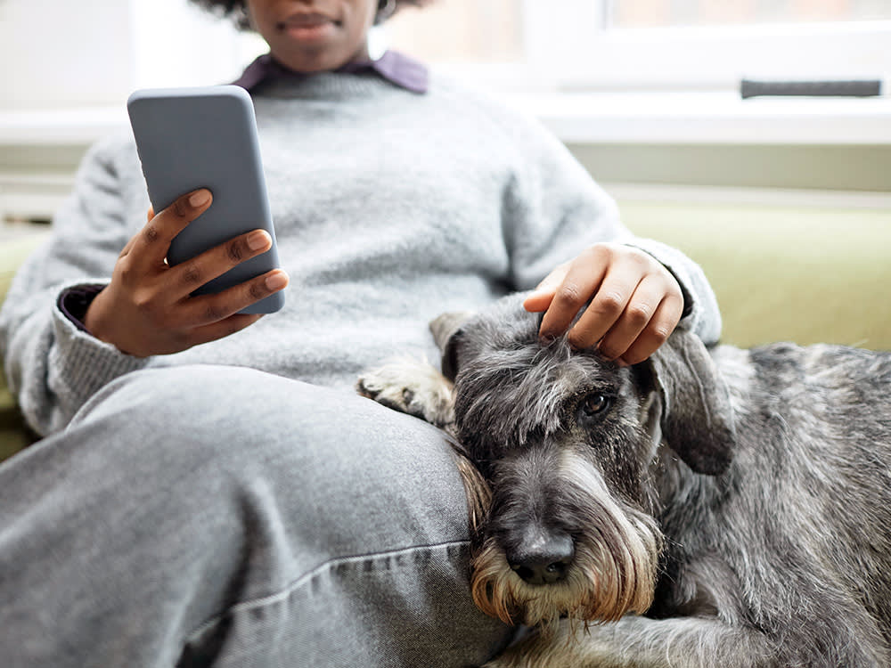 Woman on her phone while ignoring her dog at home.