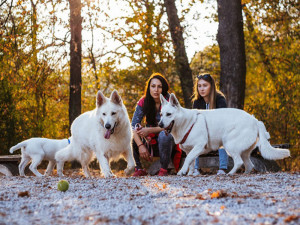 two woman at dog park talking while watching their dogs play