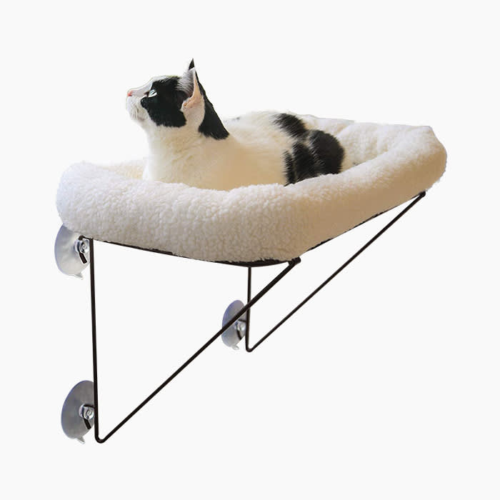 cat hammock in white