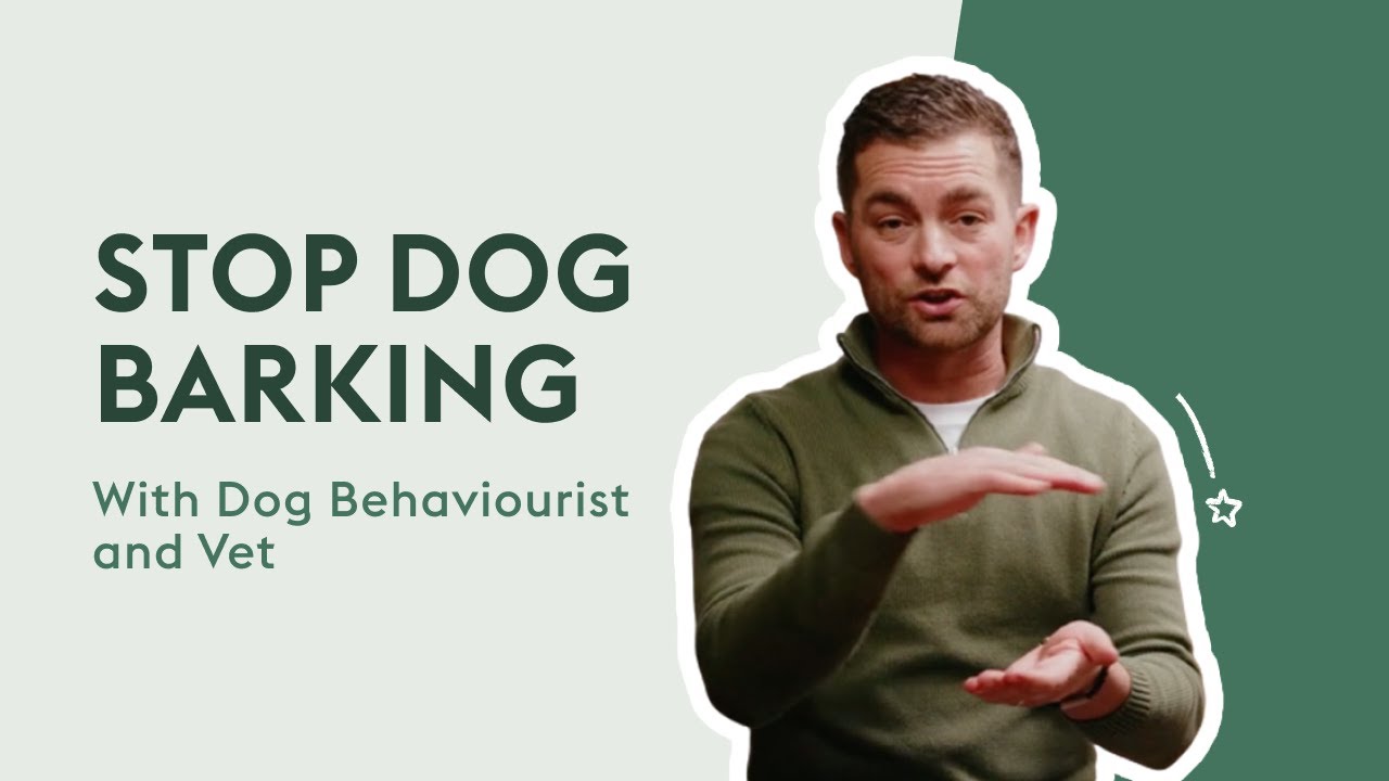 How To Stop Your Dog Barking | Dog Behaviour Tips