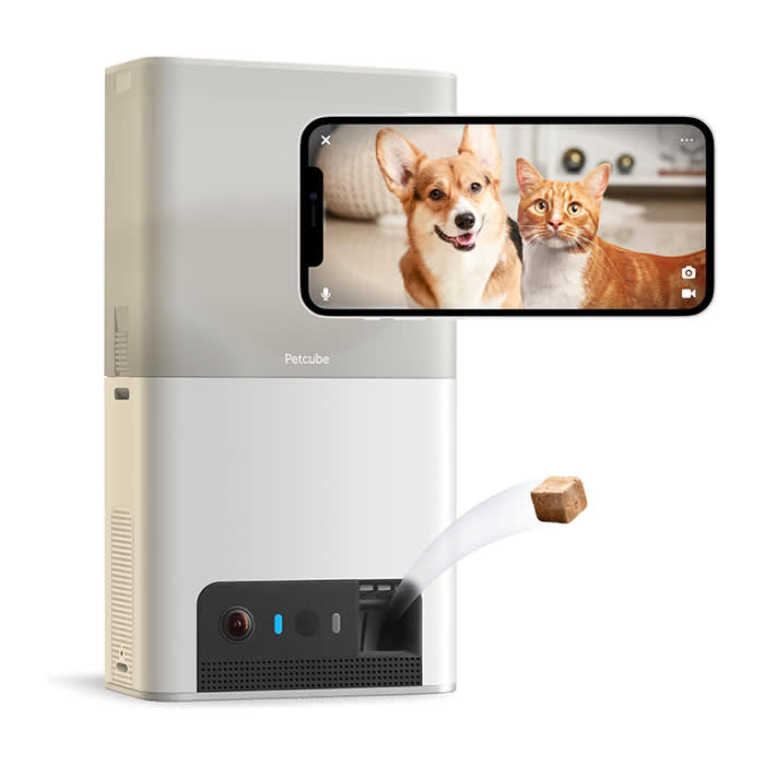Pet monitor amazon