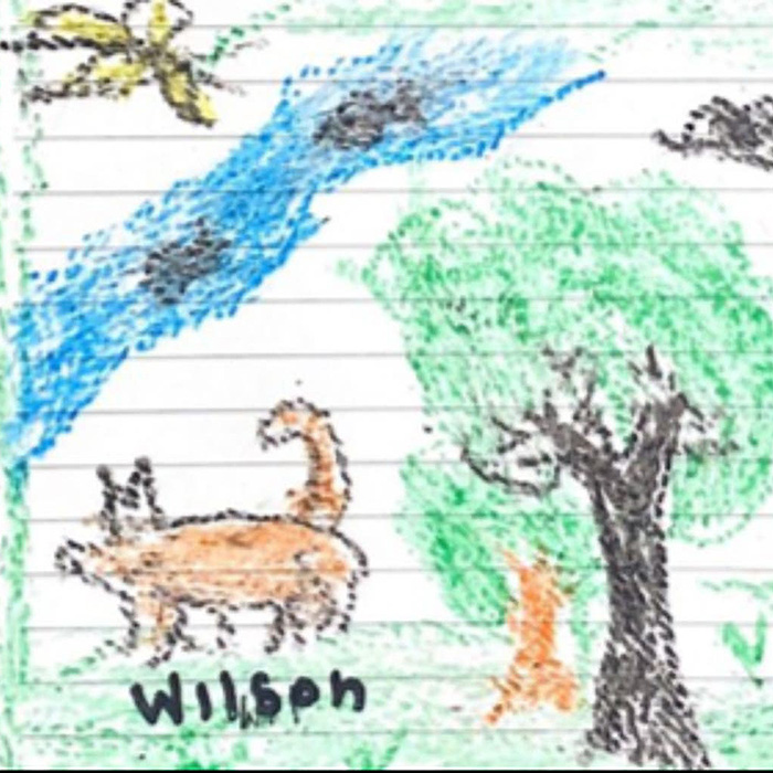 From their hospital bed, the lost children in the Amazon have drawn images of their journey through the jungle, including one in which Wilson was featured.