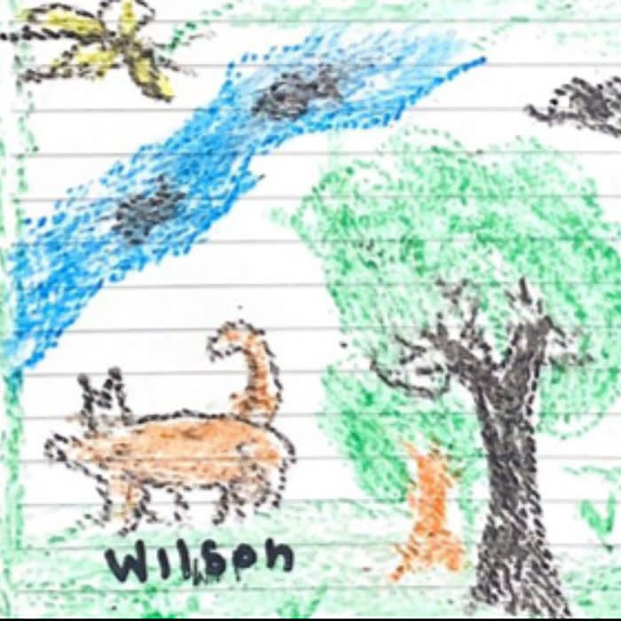 From their hospital bed, the lost children in the Amazon have drawn images of their journey through the jungle, including one in which Wilson was featured.