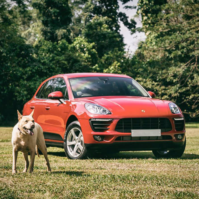 a dog next to  Porsche Macan
